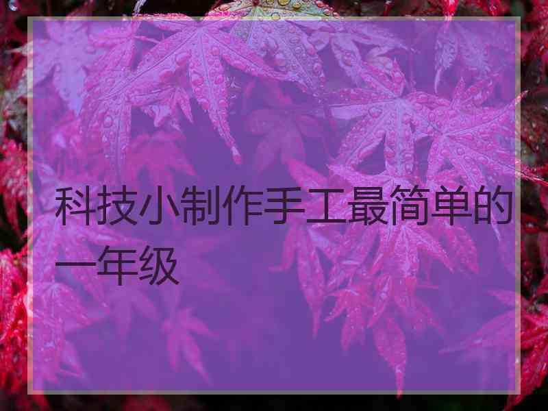 科技小制作手工最简单的一年级