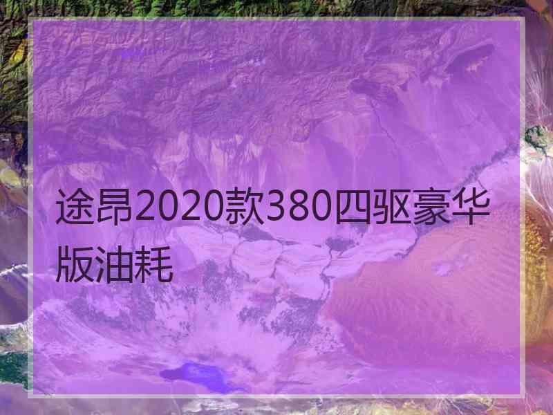 途昂2020款380四驱豪华版油耗