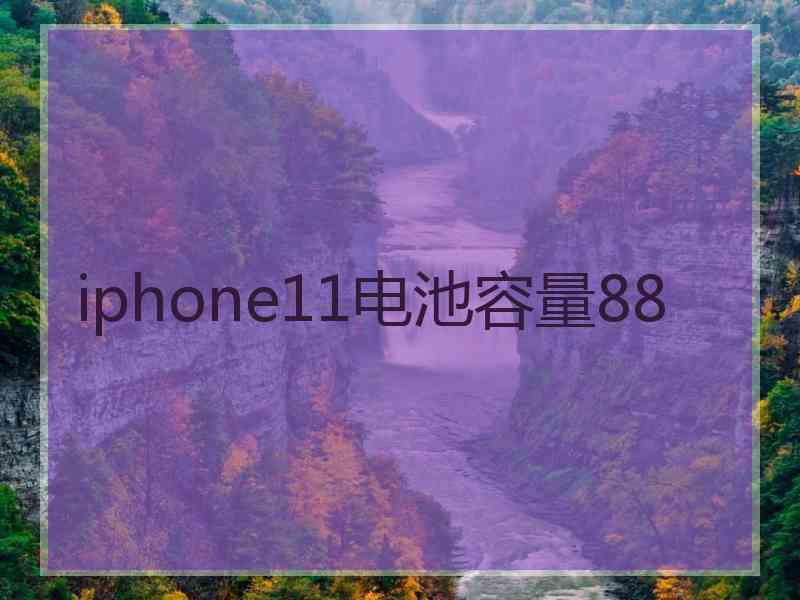 iphone11电池容量88