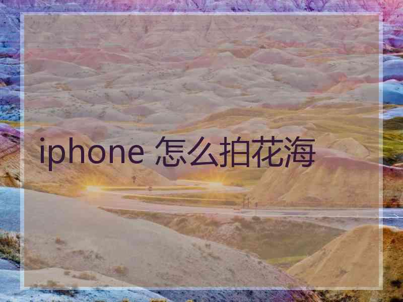 iphone 怎么拍花海