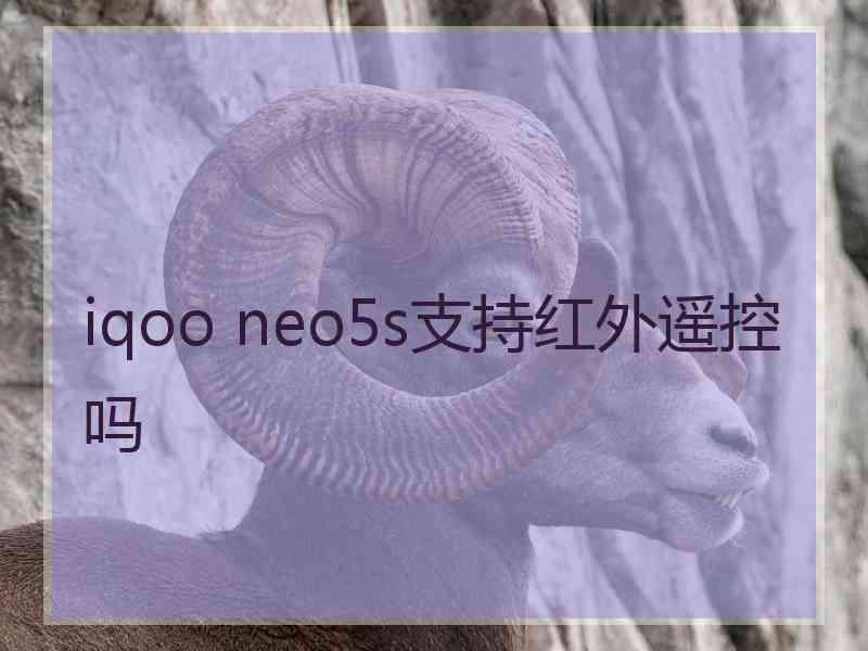 iqoo neo5s支持红外遥控吗