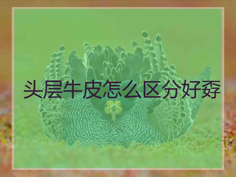 头层牛皮怎么区分好孬