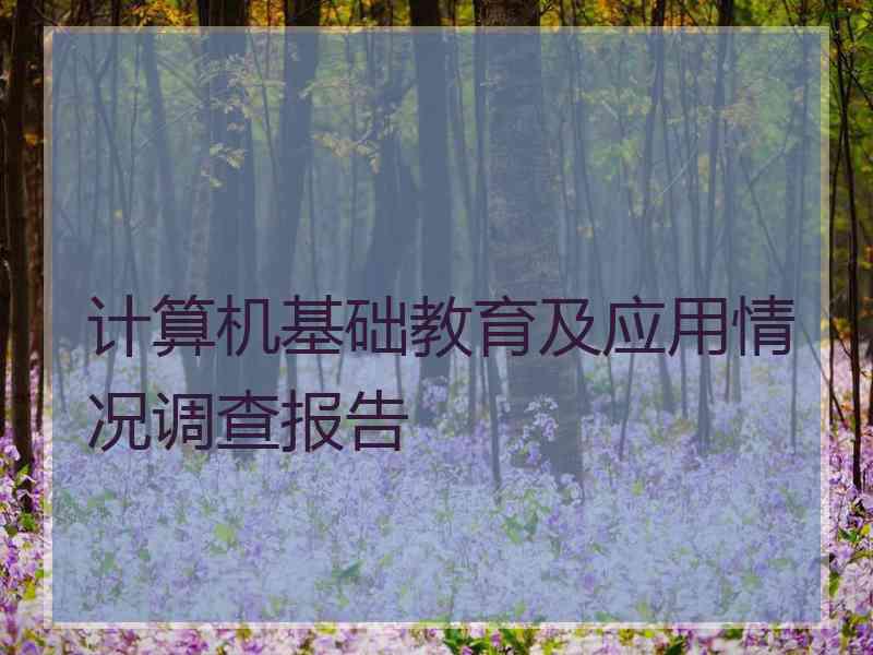 计算机基础教育及应用情况调查报告