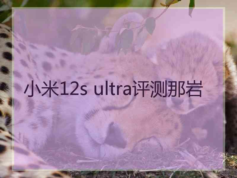 小米12s ultra评测那岩