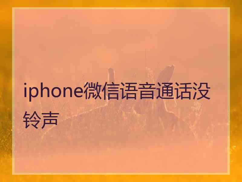 iphone微信语音通话没铃声