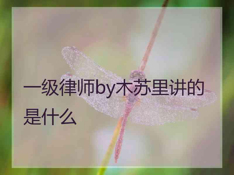 一级律师by木苏里讲的是什么