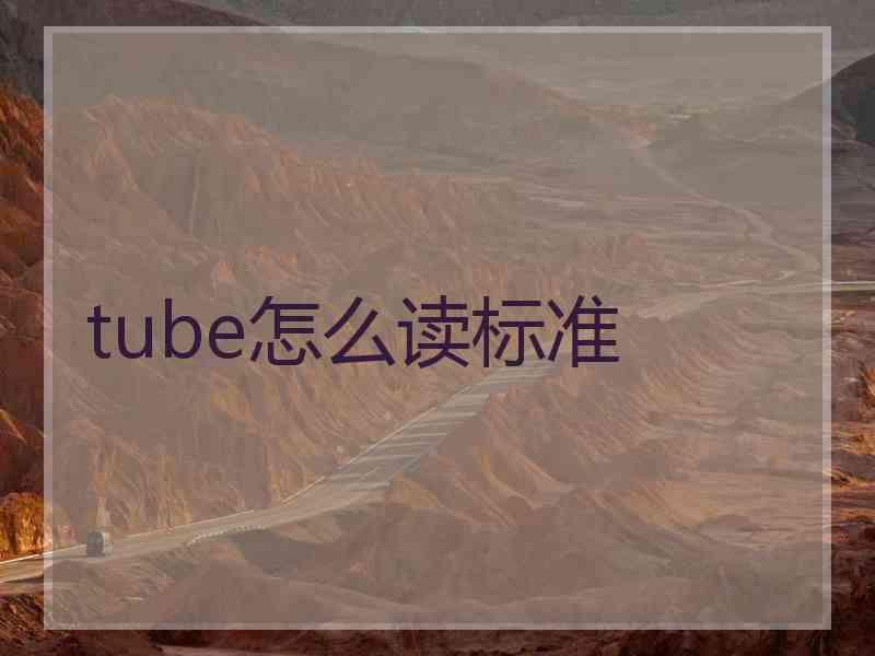 tube怎么读标准