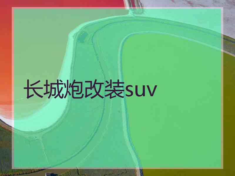 长城炮改装suv