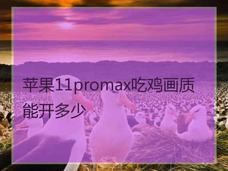 苹果11promax吃鸡画质能开多少