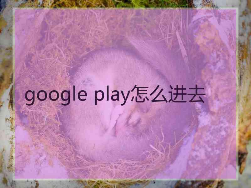 google play怎么进去