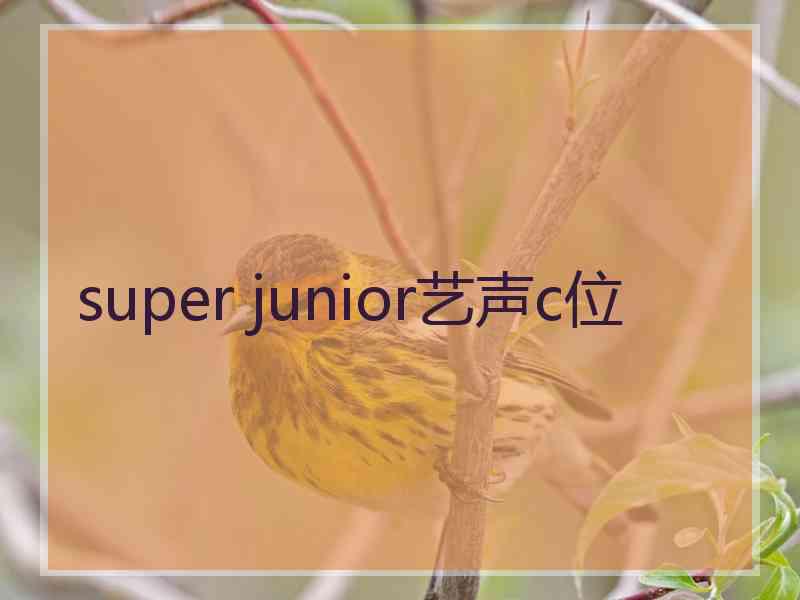 super junior艺声c位