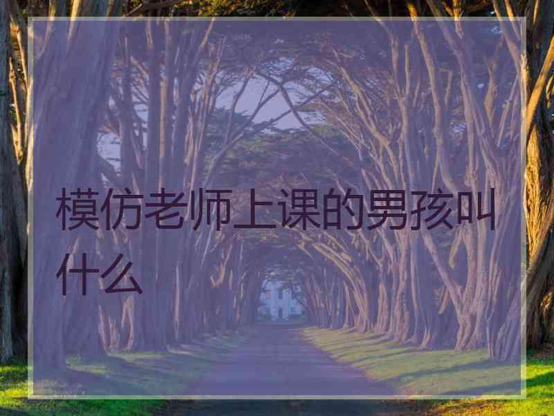 模仿老师上课的男孩叫什么