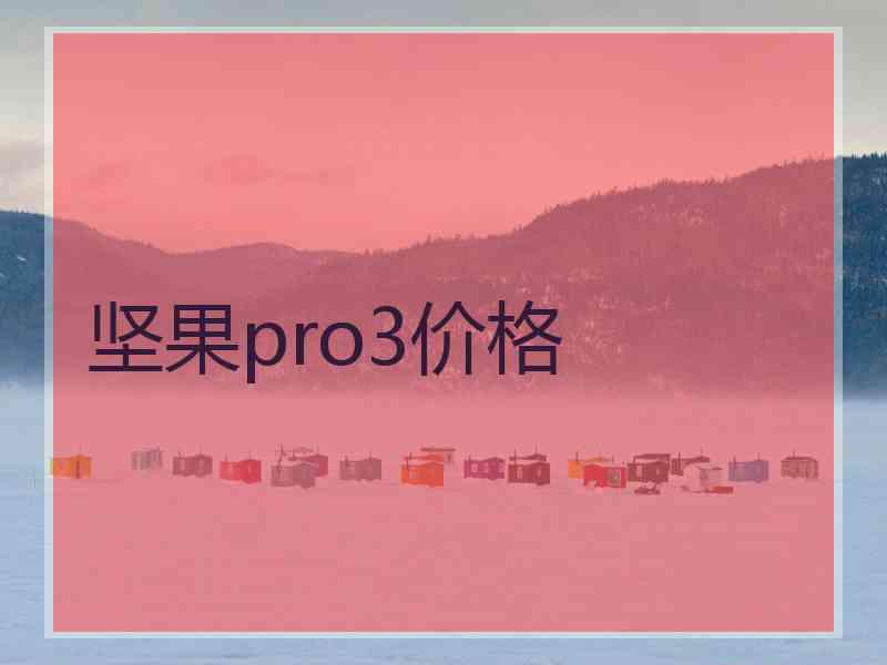 坚果pro3价格