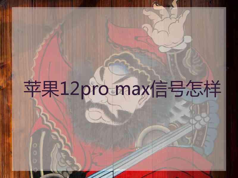 苹果12pro max信号怎样