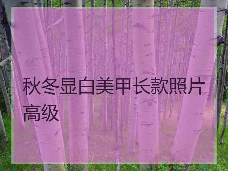 秋冬显白美甲长款照片高级