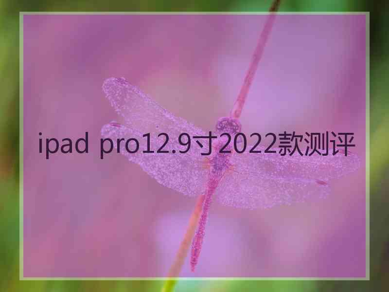 ipad pro12.9寸2022款测评