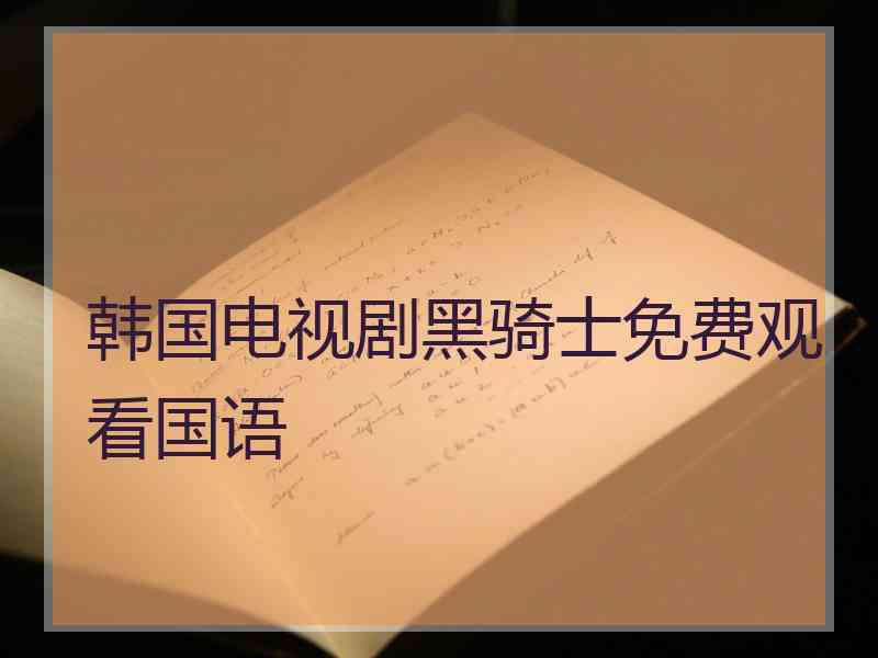 韩国电视剧黑骑士免费观看国语