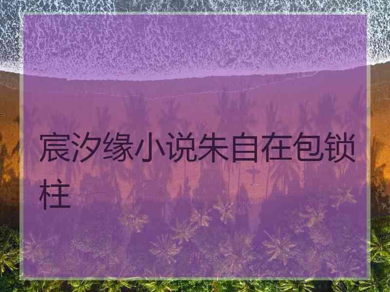 宸汐缘小说朱自在包锁柱