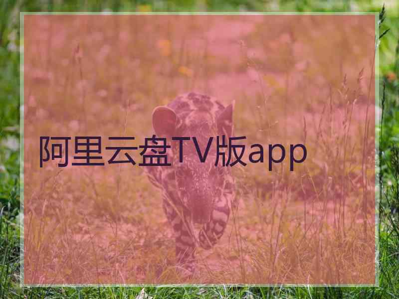 阿里云盘TV版app