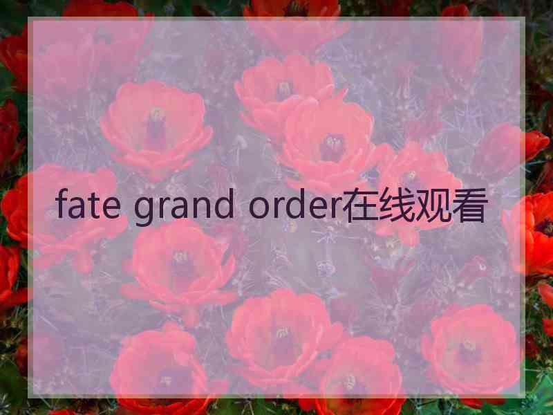 fate grand order在线观看