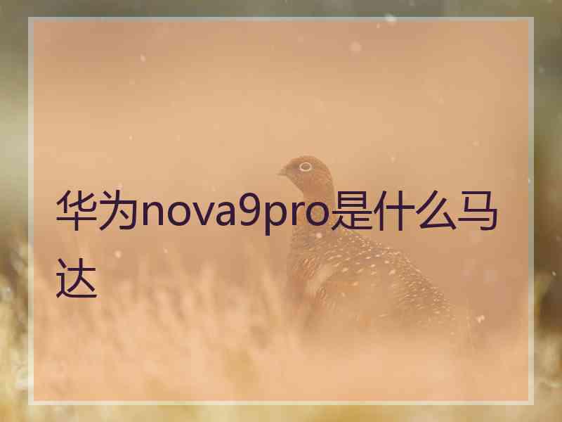 华为nova9pro是什么马达