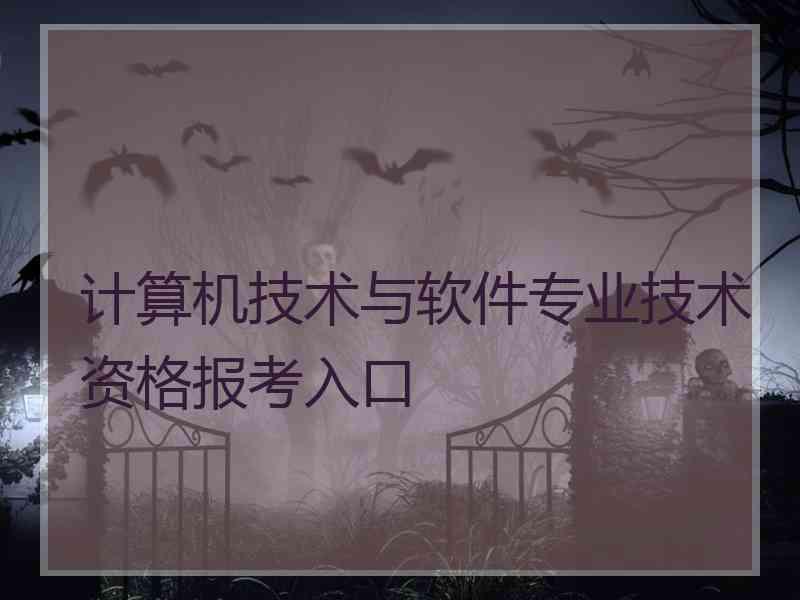 计算机技术与软件专业技术资格报考入口