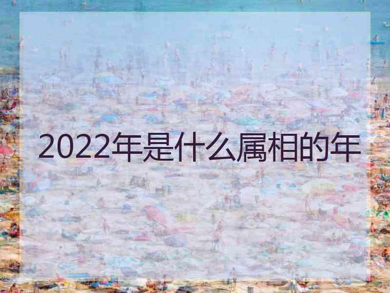 2022年是什么属相的年