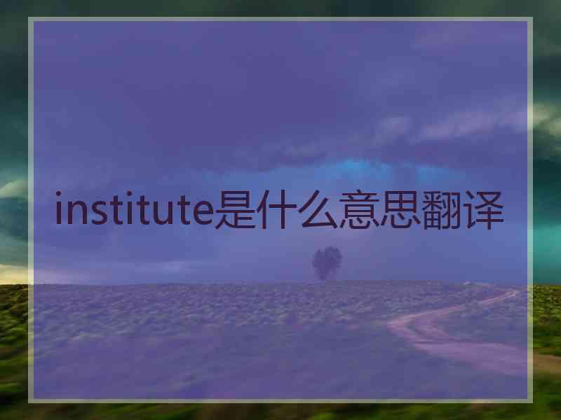 institute是什么意思翻译