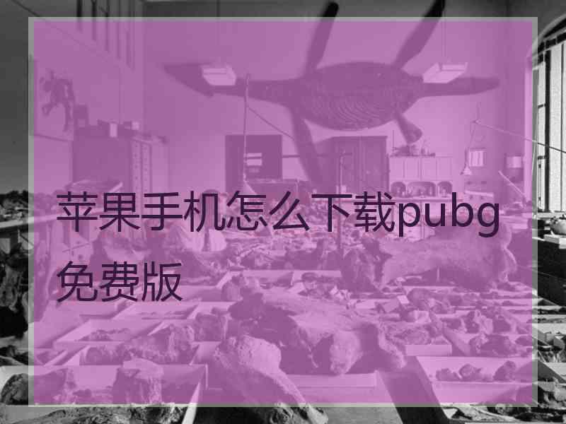 苹果手机怎么下载pubg免费版