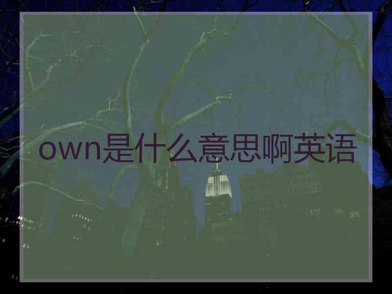 own是什么意思啊英语