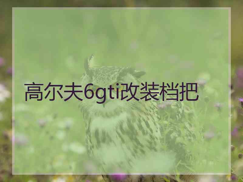 高尔夫6gti改装档把