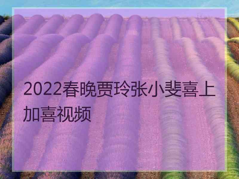 2022春晚贾玲张小斐喜上加喜视频