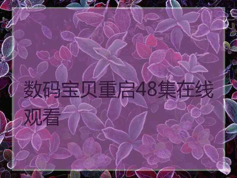 数码宝贝重启48集在线观看