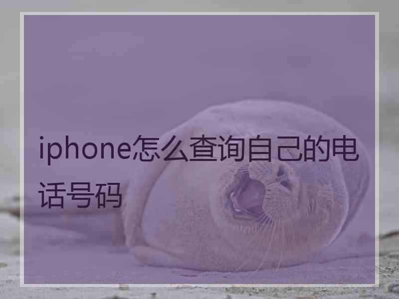 iphone怎么查询自己的电话号码