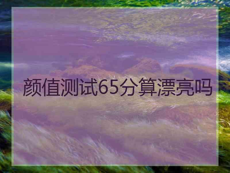 颜值测试65分算漂亮吗