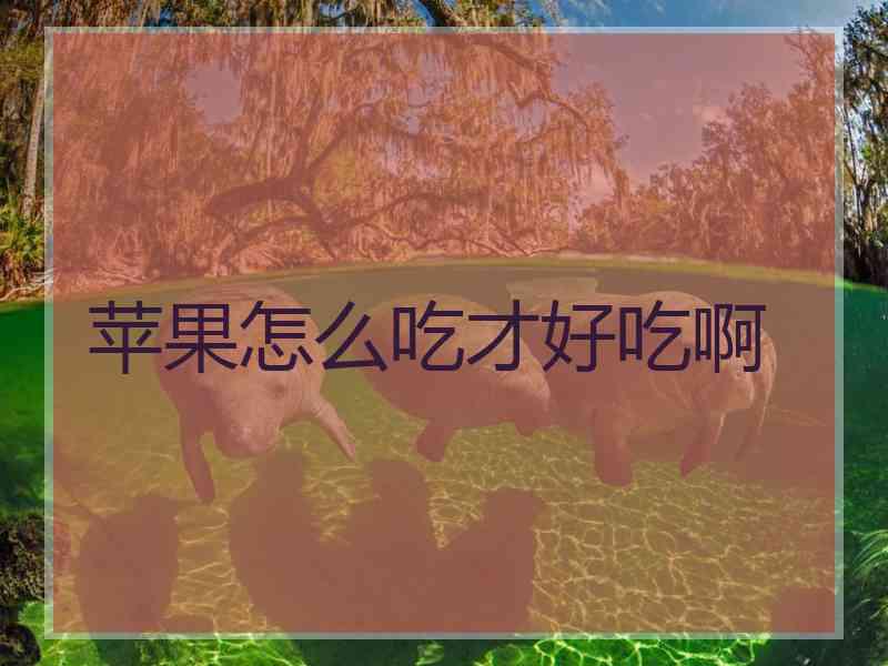 苹果怎么吃才好吃啊