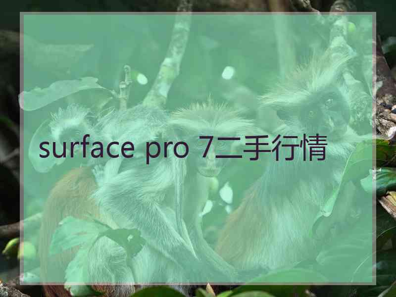 surface pro 7二手行情