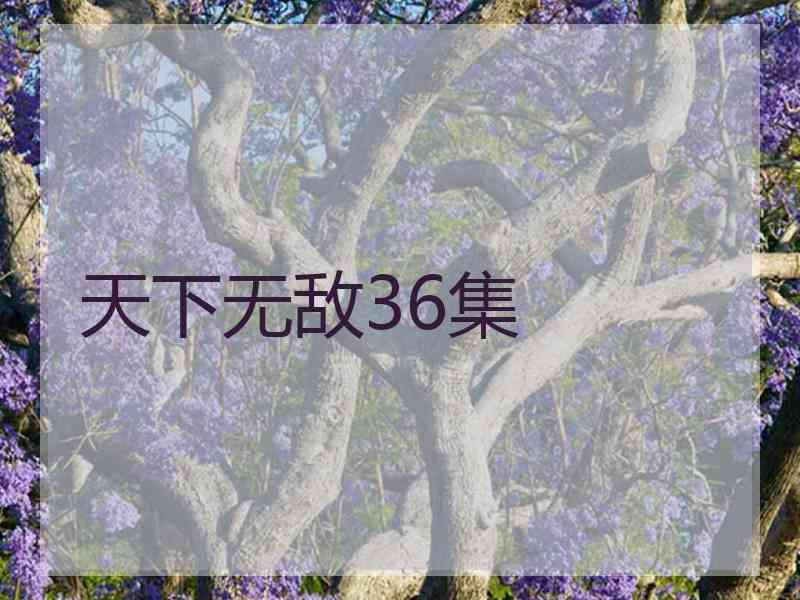 天下无敌36集