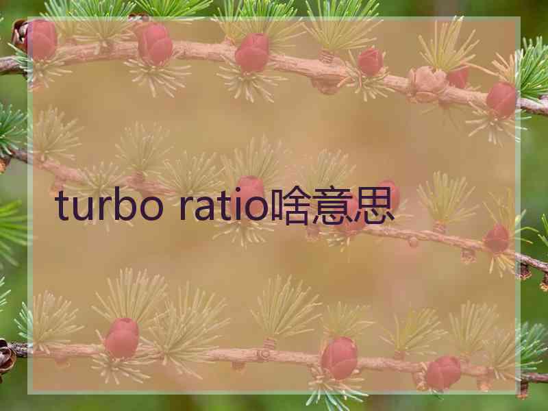 turbo ratio啥意思