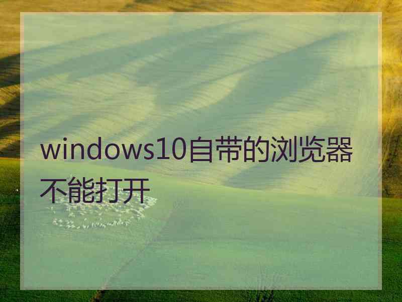 windows10自带的浏览器不能打开