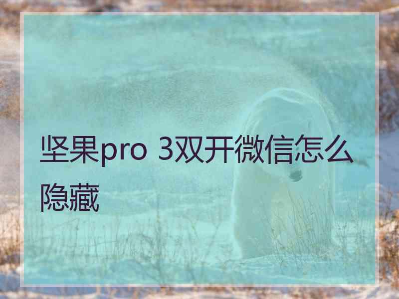 坚果pro 3双开微信怎么隐藏