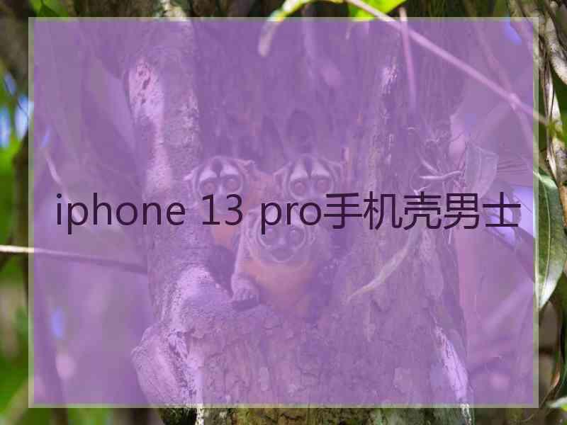 iphone 13 pro手机壳男士