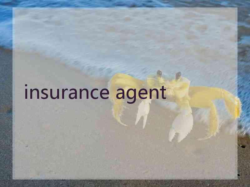 insurance agent