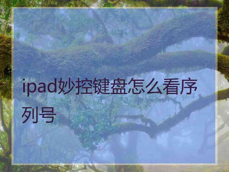 ipad妙控键盘怎么看序列号