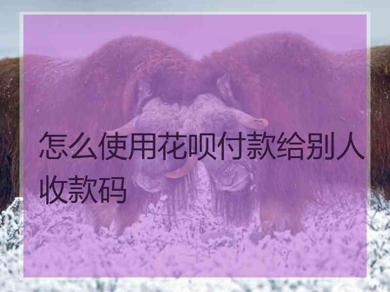 怎么使用花呗付款给别人收款码