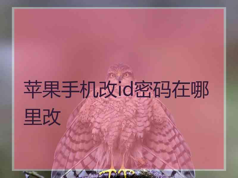 苹果手机改id密码在哪里改