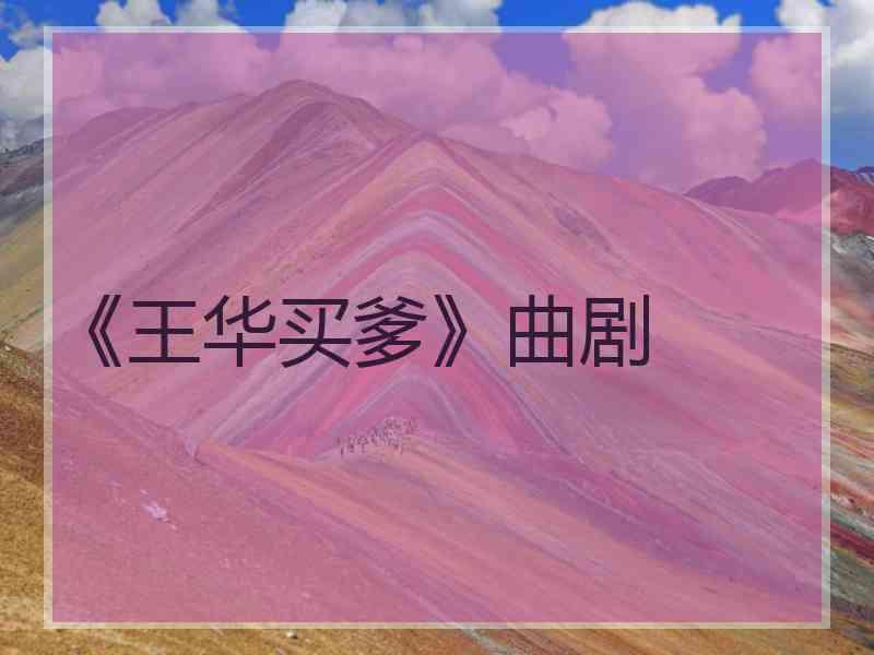 《王华买爹》曲剧