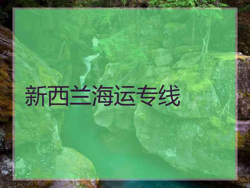 新西兰海运专线