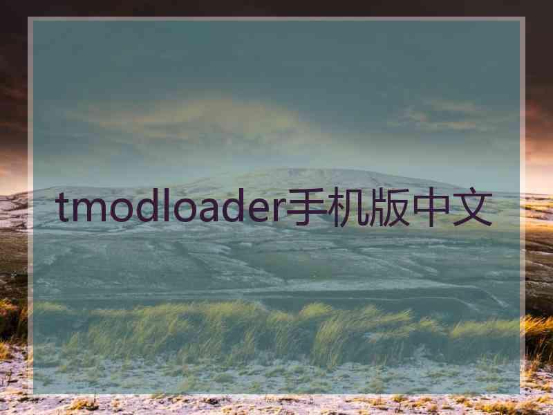 tmodloader手机版中文