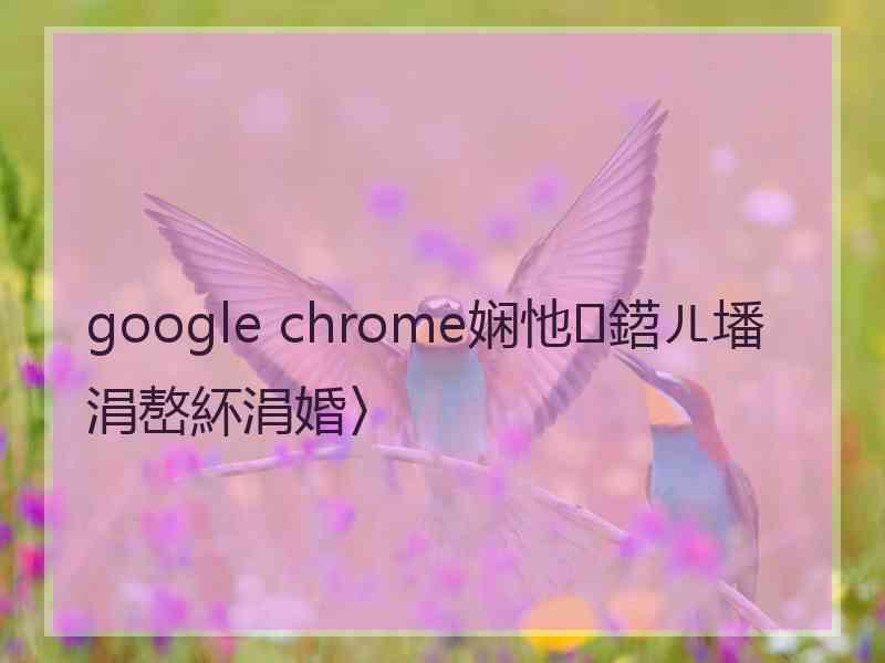 google chrome娴忚鍣ㄦ墦涓嶅紑涓婚〉